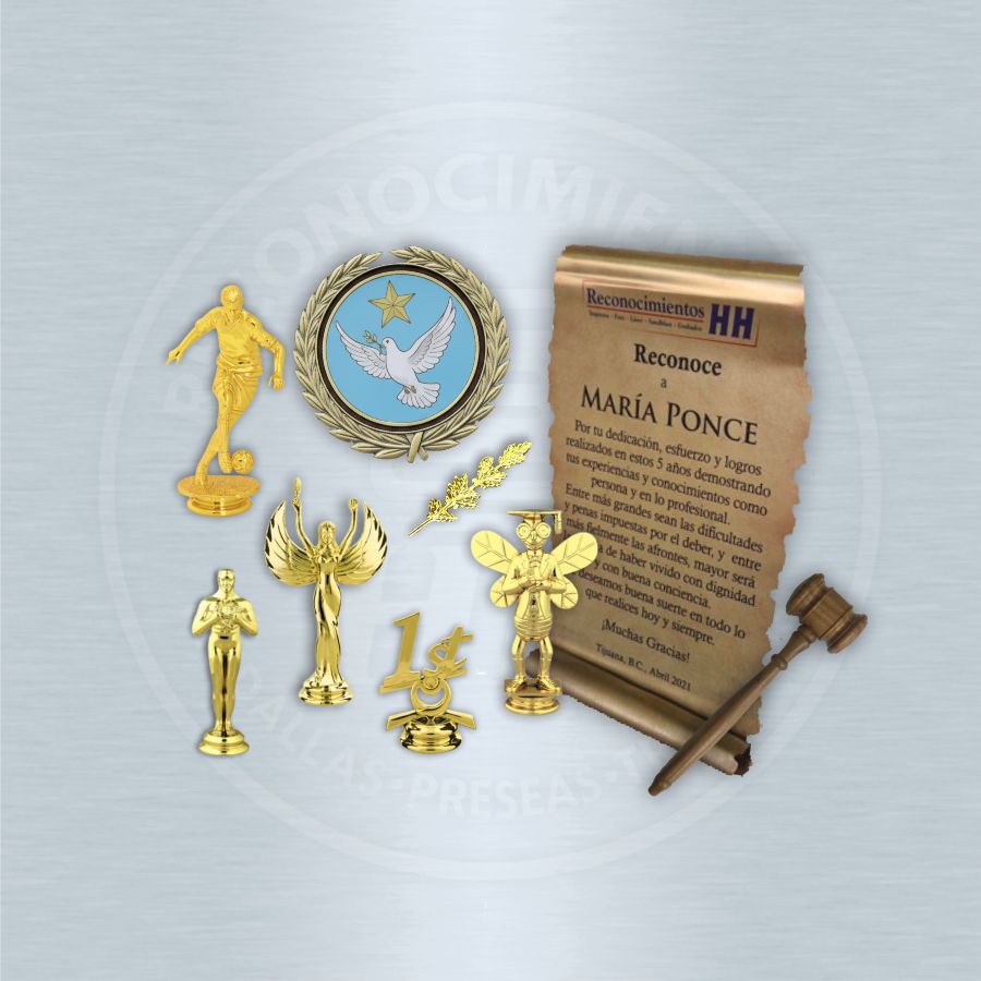 ACCESORIOS Y ADITAMENTOS PARA RECONOCIMIENTOS