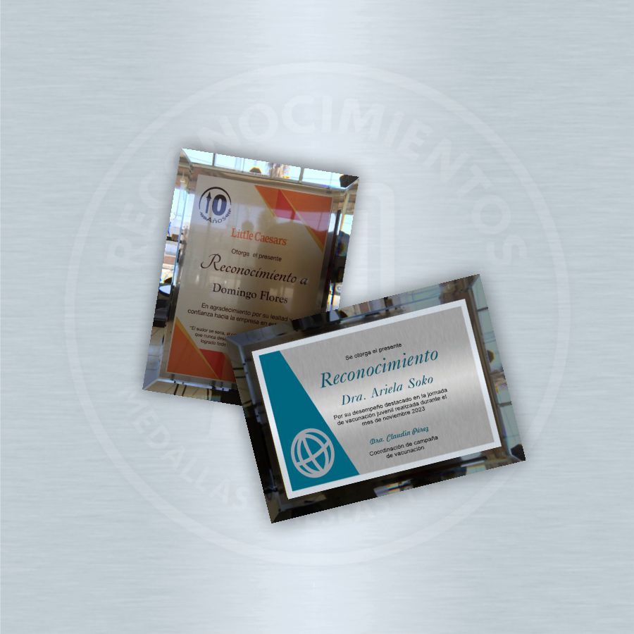 Placa Vidrio Espejo Ahumado