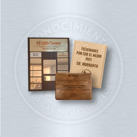 Reconocimientos Especiales