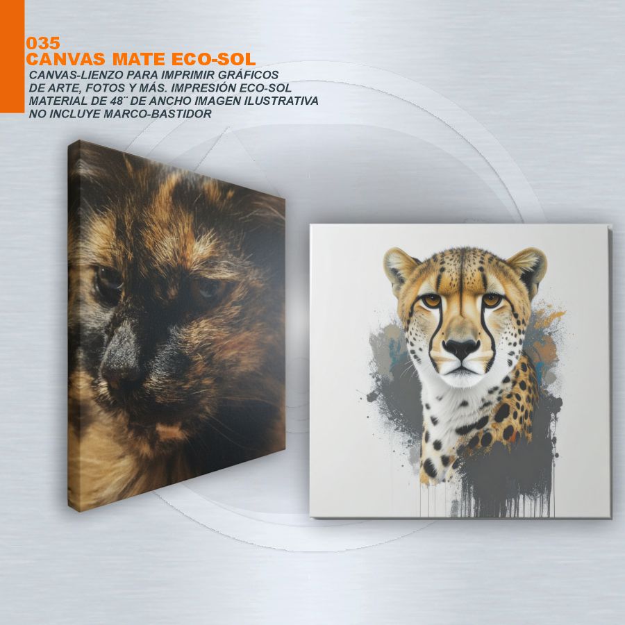 ECO-SOL MATTE CANVAS