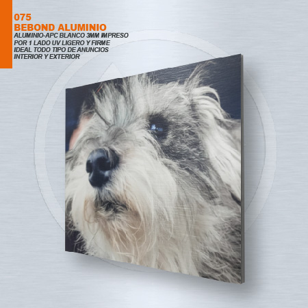 BEBOND BLANCO 3MM IMPRESO POR 1 LADO UV