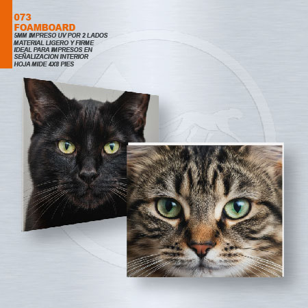 FOAMBOARD 5 MM IMPRESO 2 LADOS UV