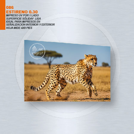 ESTIRENO 0.30 IMPRESO 1 LADO UV